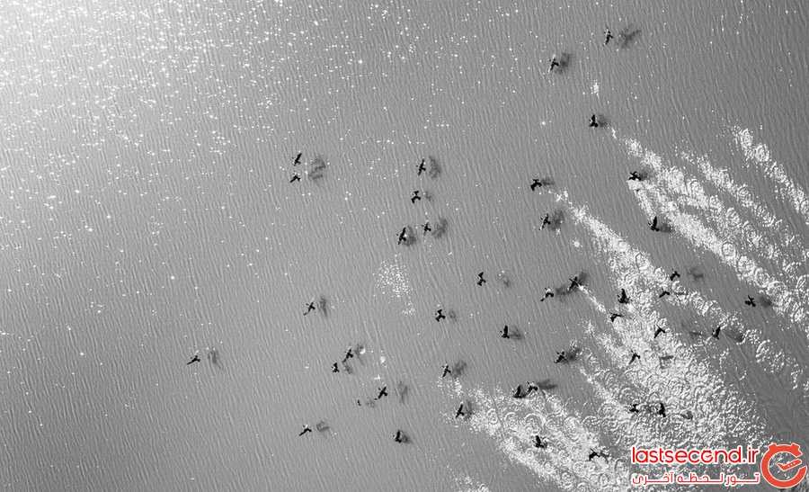 تصاویر خلاقانه خلبان بنگلادشی از کشورش