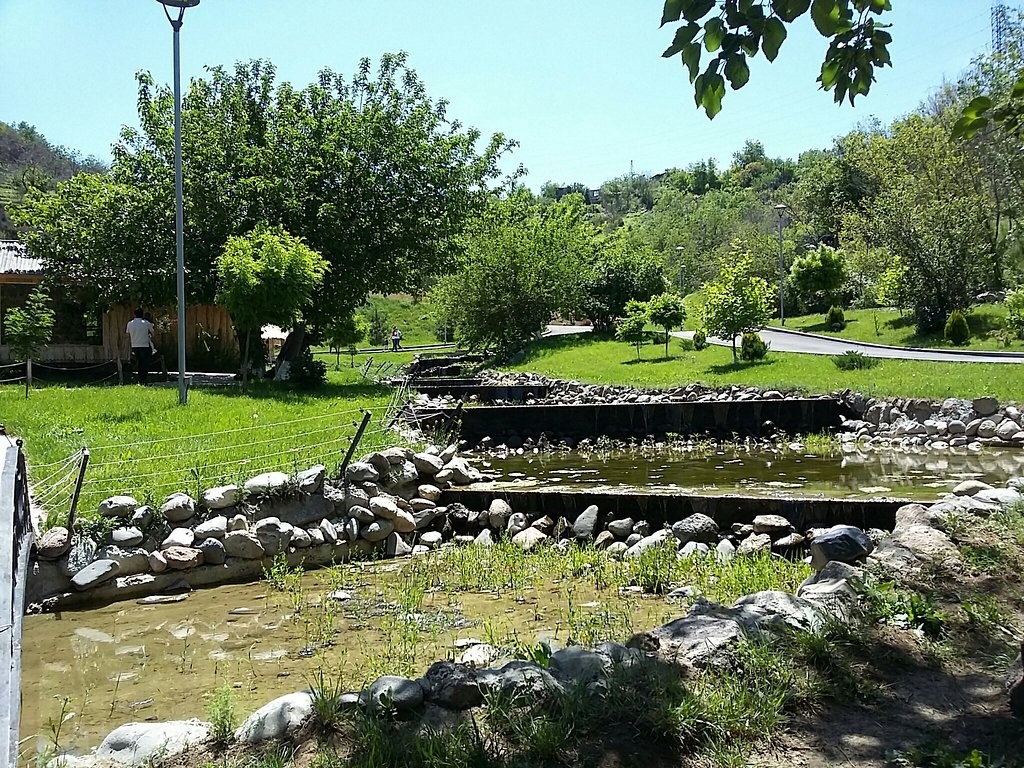 4993-cdALCVUNdw7LbL3fGlHf.jpeg