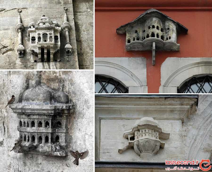 قصرهای اشرافی برای پرندگان، پدیده ای جالب در ترکیه