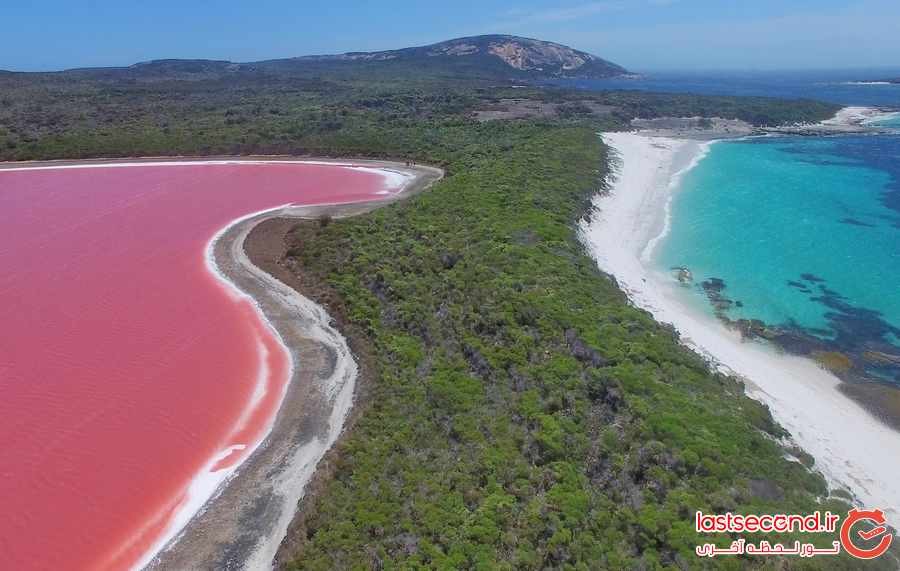دریاچه ای حیرت انگیز به رنگ صورتی در استرالیا ‏
