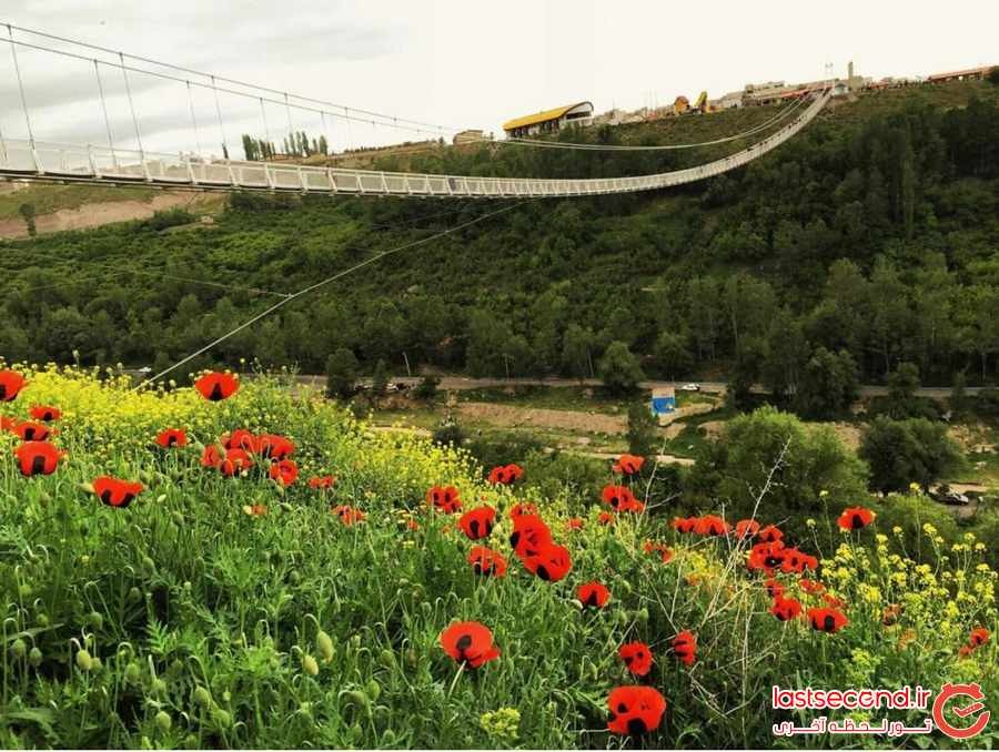 لذت و هیجان در مرتفع ترین پل معلق خاورمیانه 