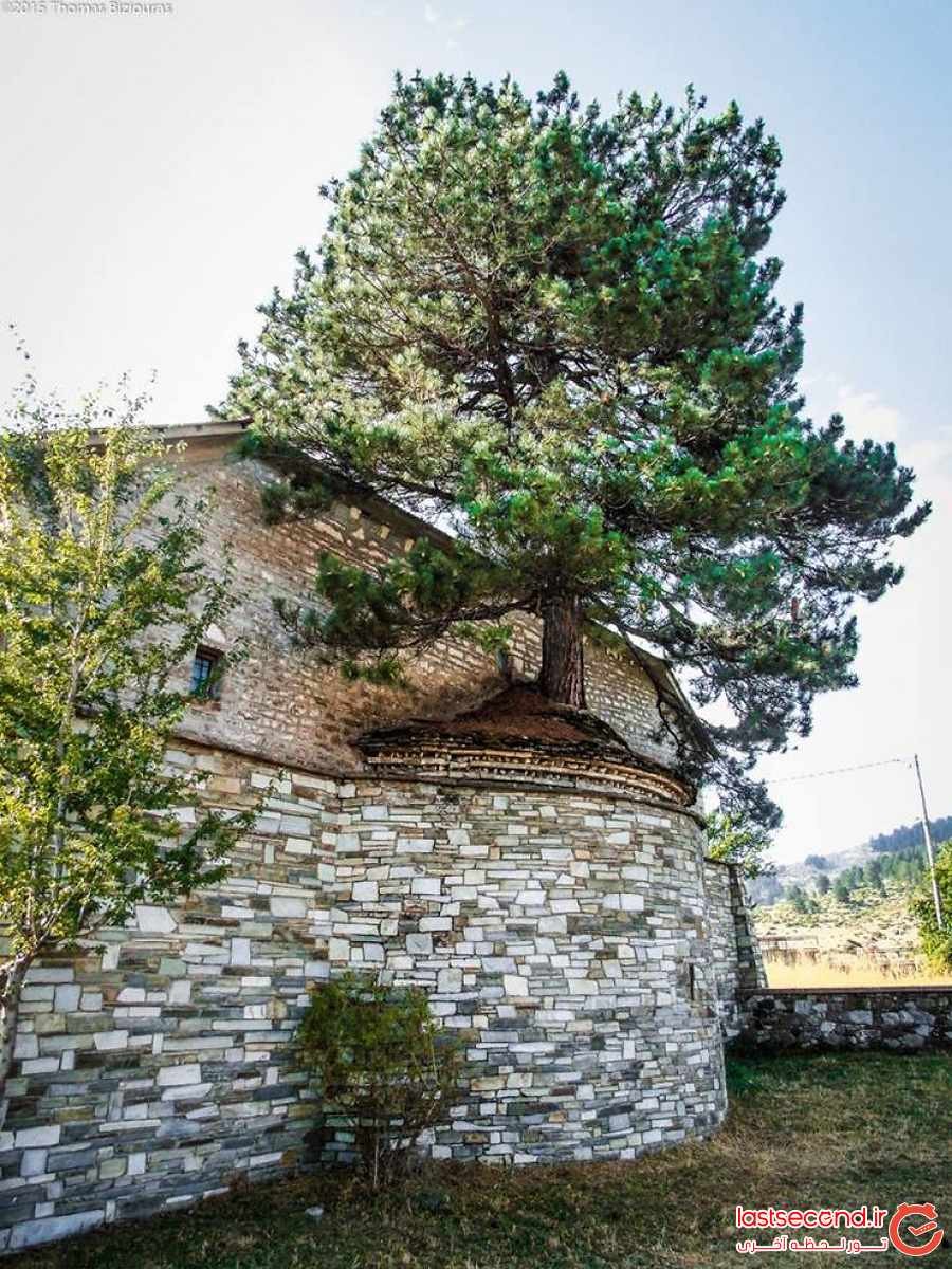 درخت صد ساله داخل یک کلیسا در یونان ‏