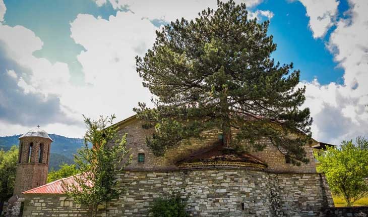 درخت صد ساله داخل یک کلیسا در یونان ‏