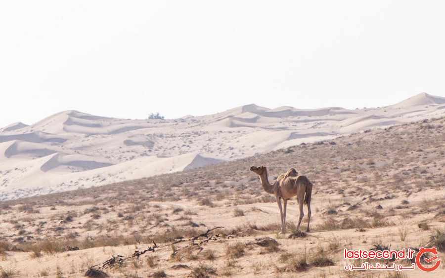 عمان را با این تصاویر بیشتر بشناسید ‏