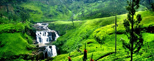 تور سریلانکا زمستان 1404