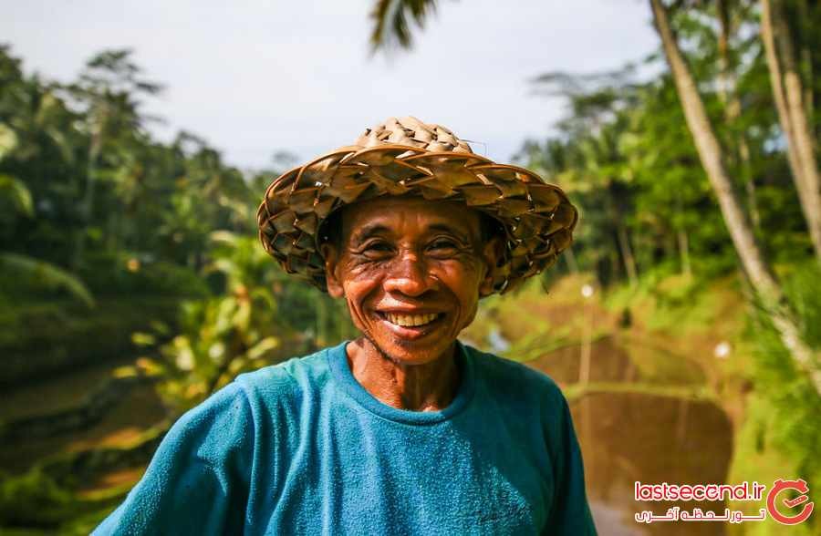 زیباترین تصاویر از زمین های برنج در بالی ‏