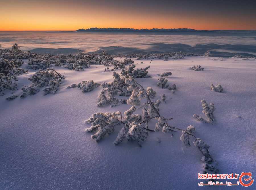 تصاویری از لهستان پوشیده از برف ‏