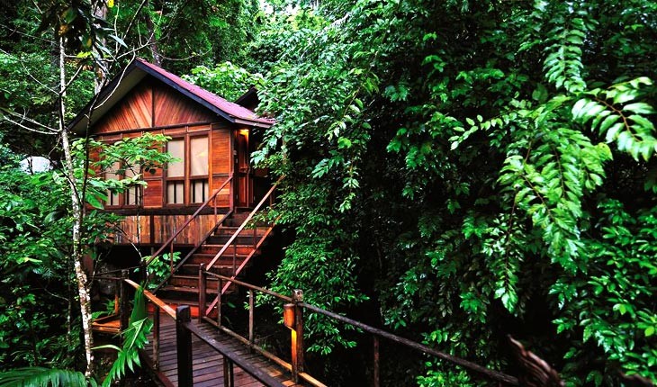 ‏7 خانه درختی پنهان در طبیعت مالزی ‏