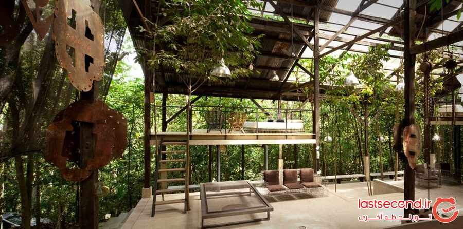 ‏7 خانه درختی پنهان در طبیعت مالزی ‏