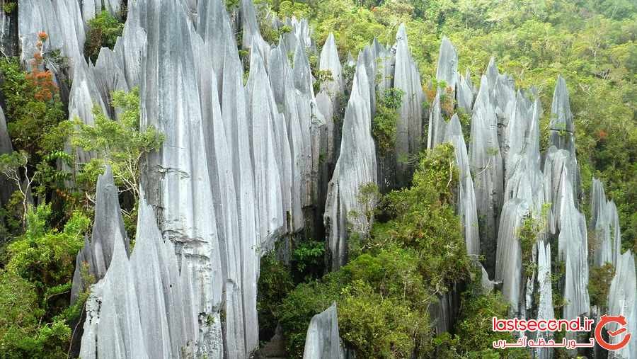 پارک ملی گونونگ مولو ، جاذبه ای خارق العاده در مالزی که نمی شناسید
