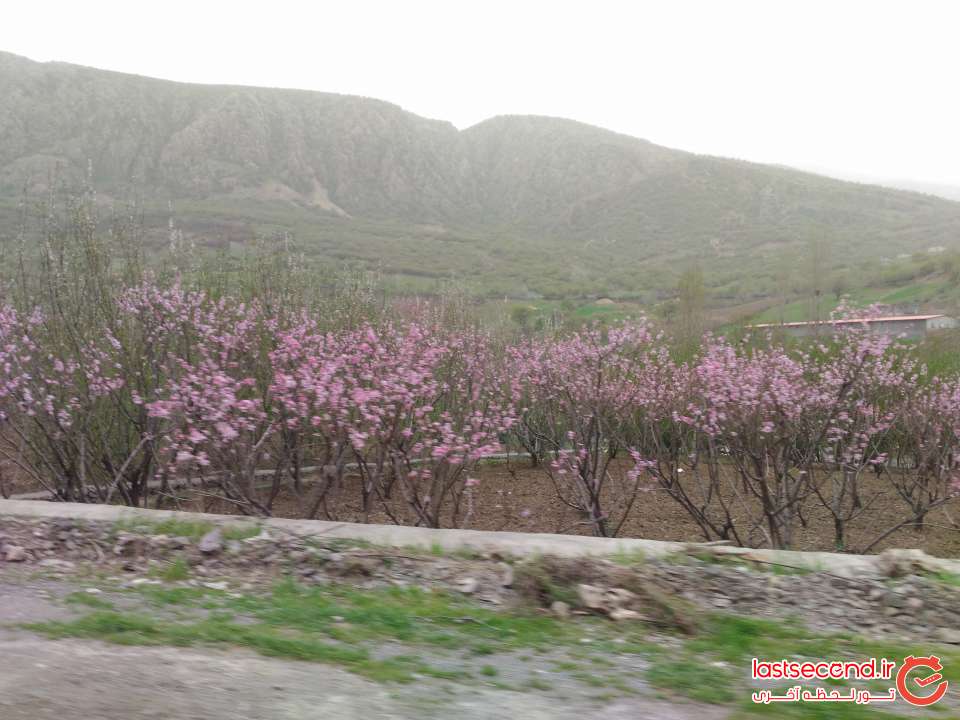 جاده مریوان به کرمانشاه