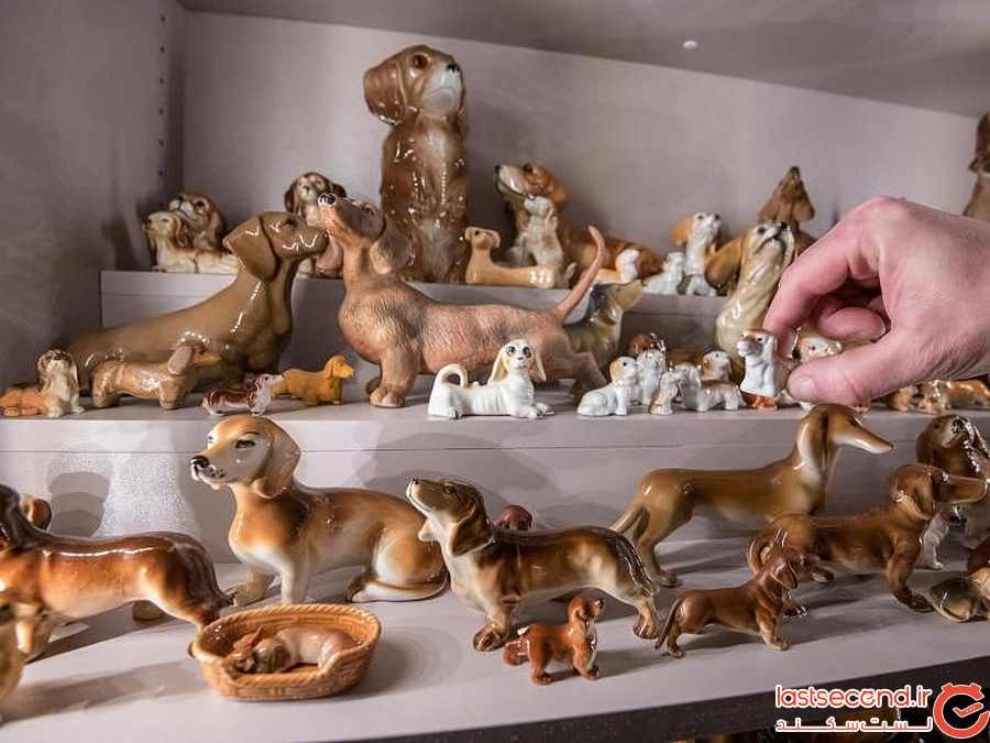 موزه ای که به سگ های شکاری اختصاص یافته است
