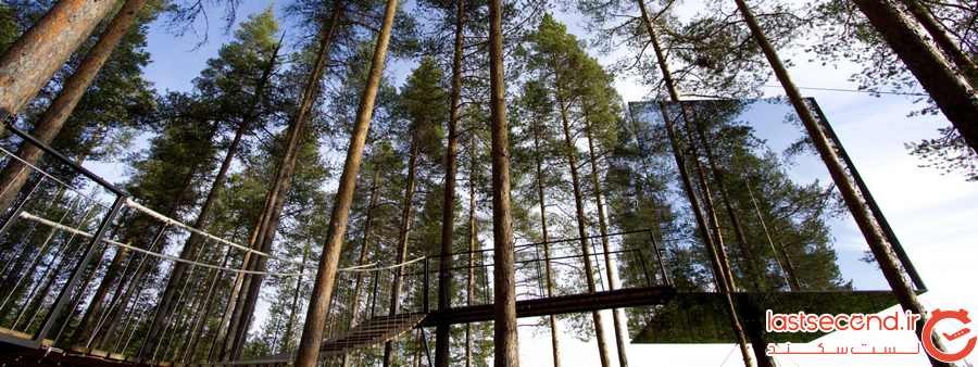 هتل درختی در Lapland سوئد