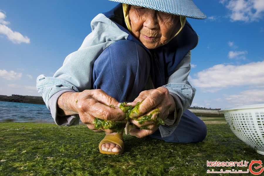چرا جزایر اوکیناوا ژاپن مملوء از شهروندان 100 ساله است؟
