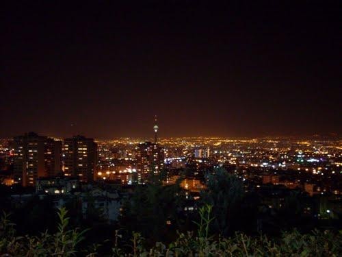 892.jpg