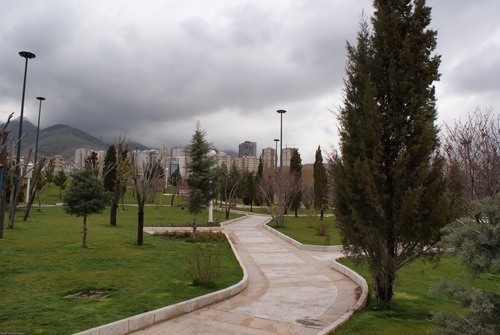 891.jpg