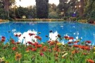 محوطه باغ ارم شیراز محوطه باغ ارم شیراز