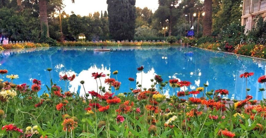 eram-garden-shiraz11.jpg