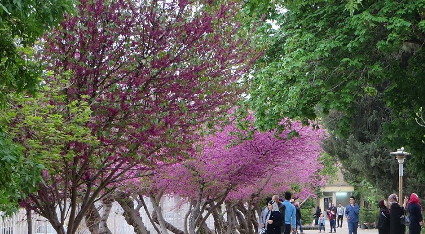 eram-garden10.jpg
