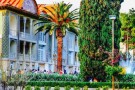 باغ ارم شیراز باغ ارم کجاست