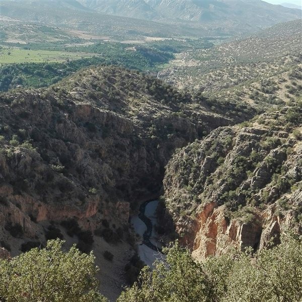 Horse Tail Canyon (16).jpg