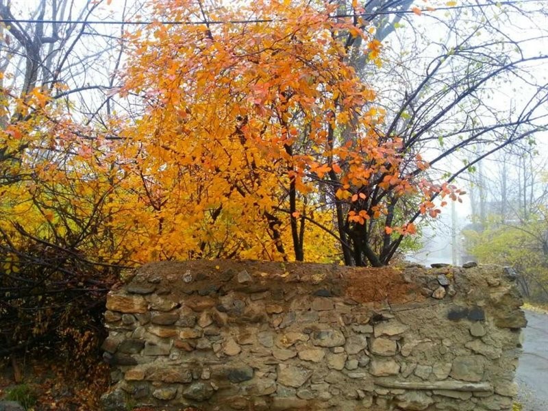 Afif-Abad Garden (1).jpg