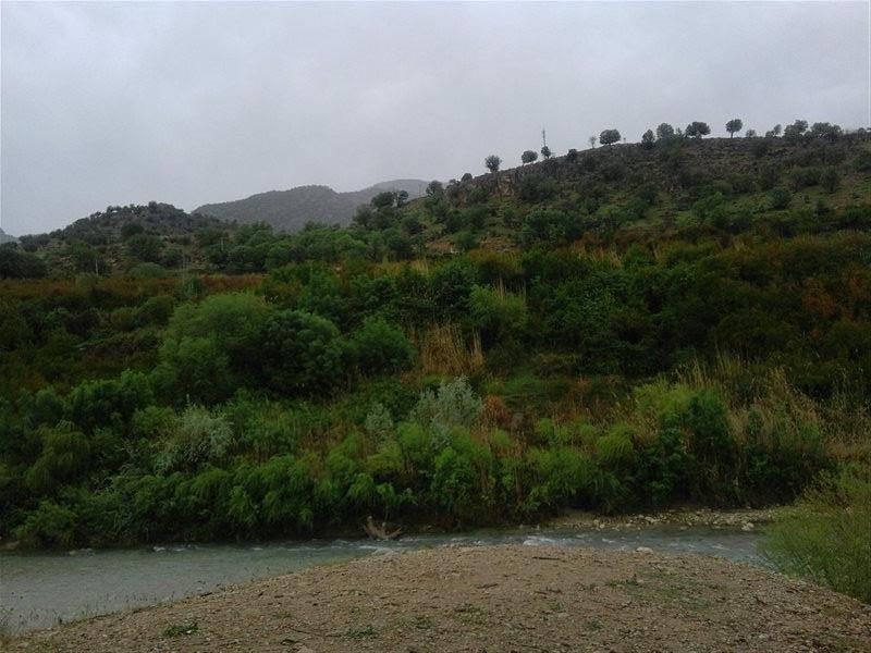 Horse Tail Canyon (13).jpg