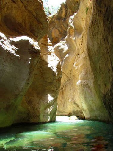 Horse Tail Canyon (5).jpg