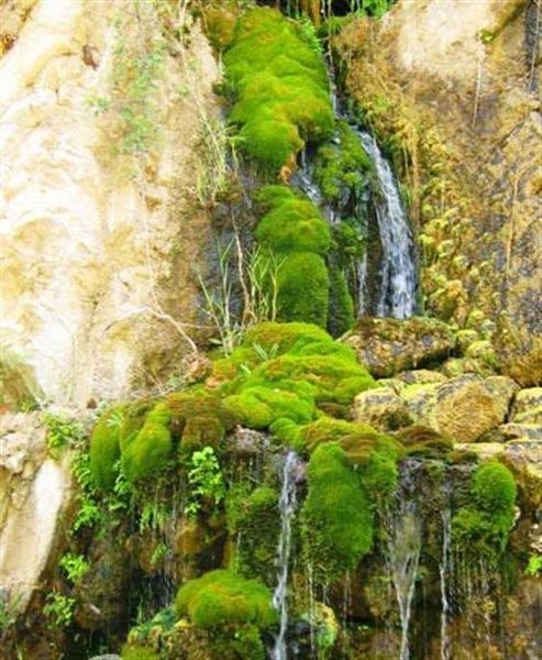 Horse Tail Canyon (9).jpg