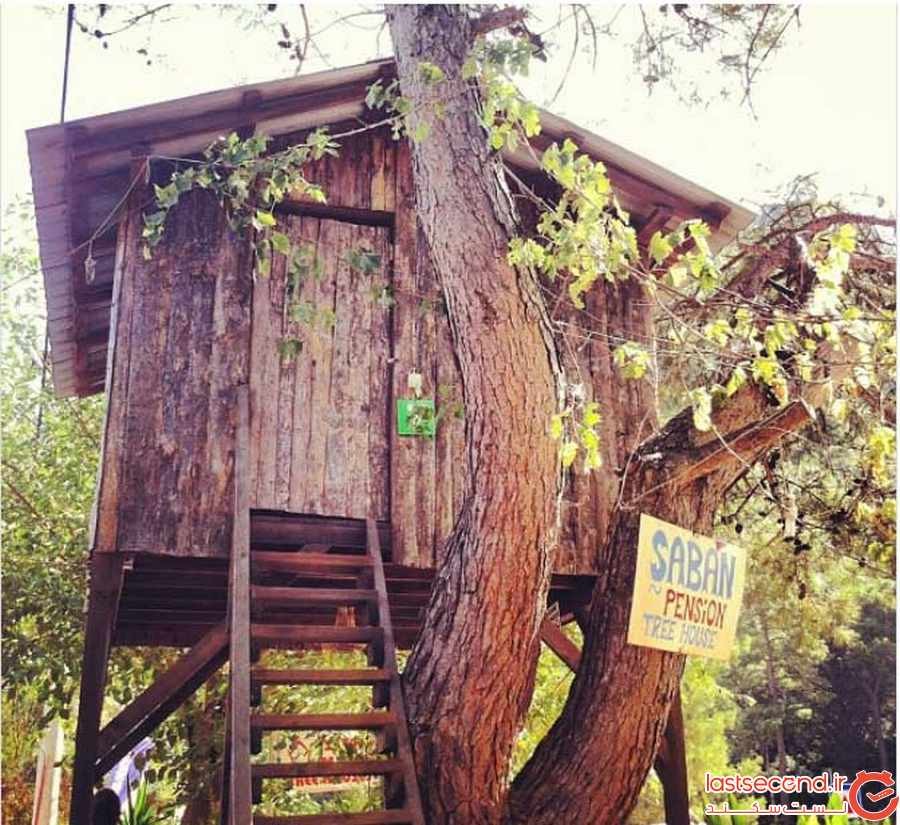 تجربه اقامت در خانه های درختی در ترکیه ‏