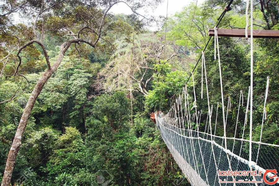 ‏12 پارک ملی زیبا در مالزی