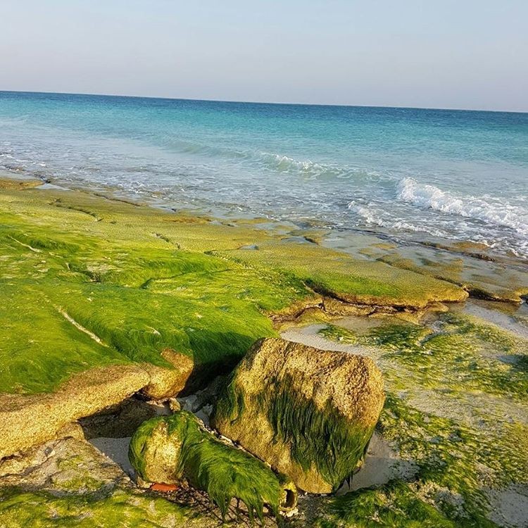 Simorgh Beach (4).jpg