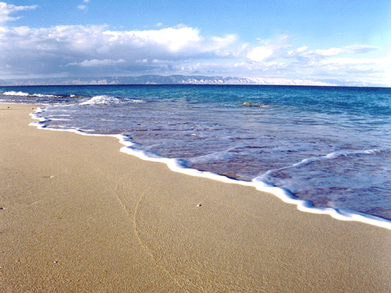 Women's Beach Kish (1).gif