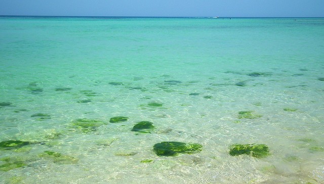 Women's Beach Kish (7).jpg