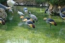 Bird Park (5).jpg