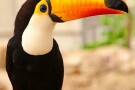 Bird Park (6).jpg