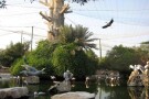 Bird Park (4).jpg