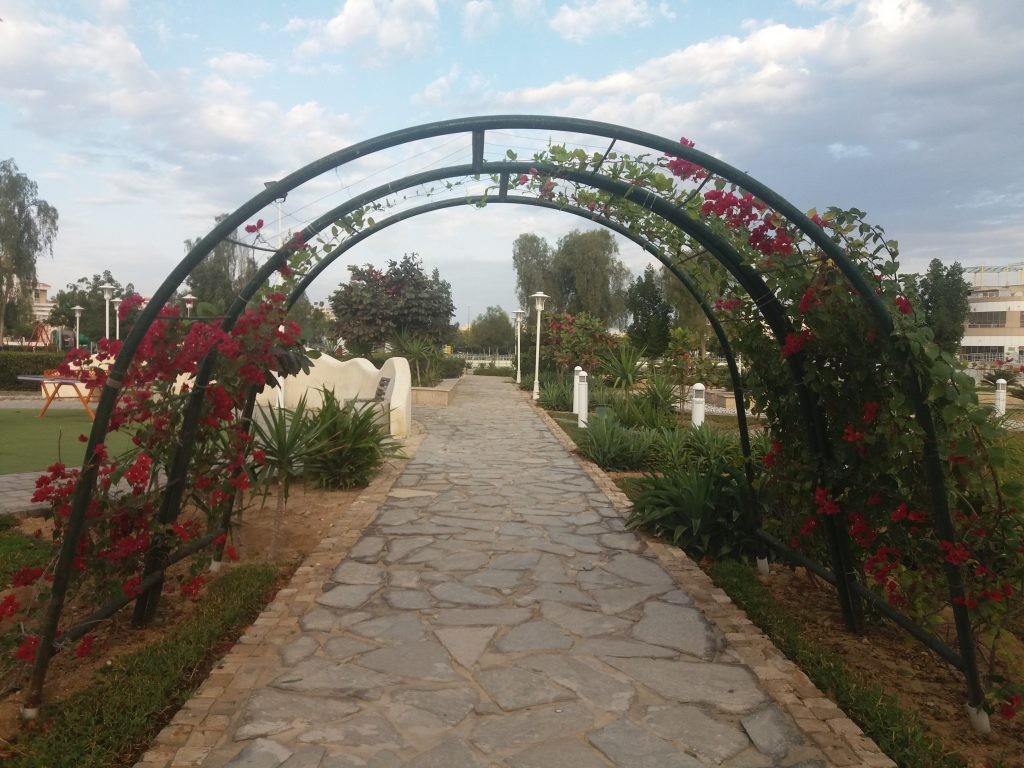 City Park (4).jpg