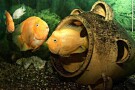 Kish Aquarium (1).jpg