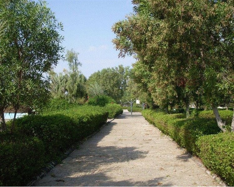 Simorgh Beach (5).jpg