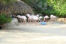 Bird Park (8).jpg