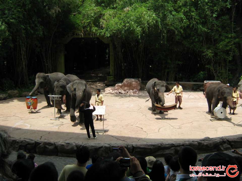 باغ وحش تایلند