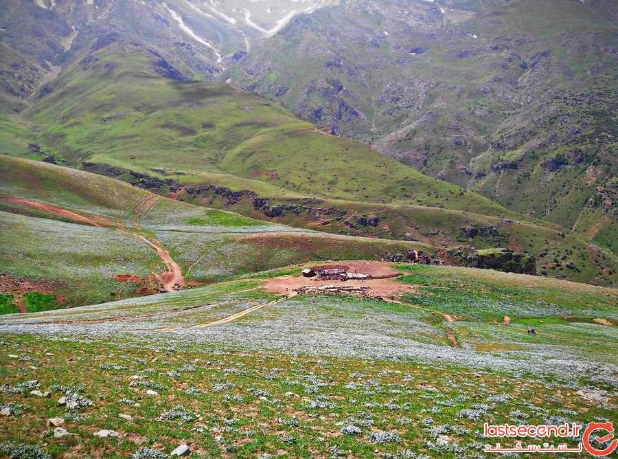 جواهر دشت گیلان