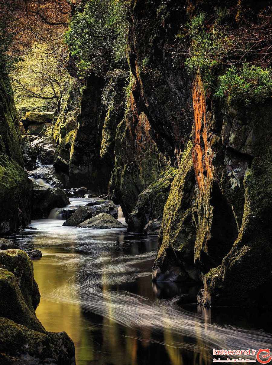 تصاویر جذاب و تماشایی از جنگل های انگلستان و ولز ‏