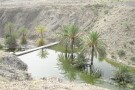 Bauchalkat River And Gand Habitat (1).jpg
