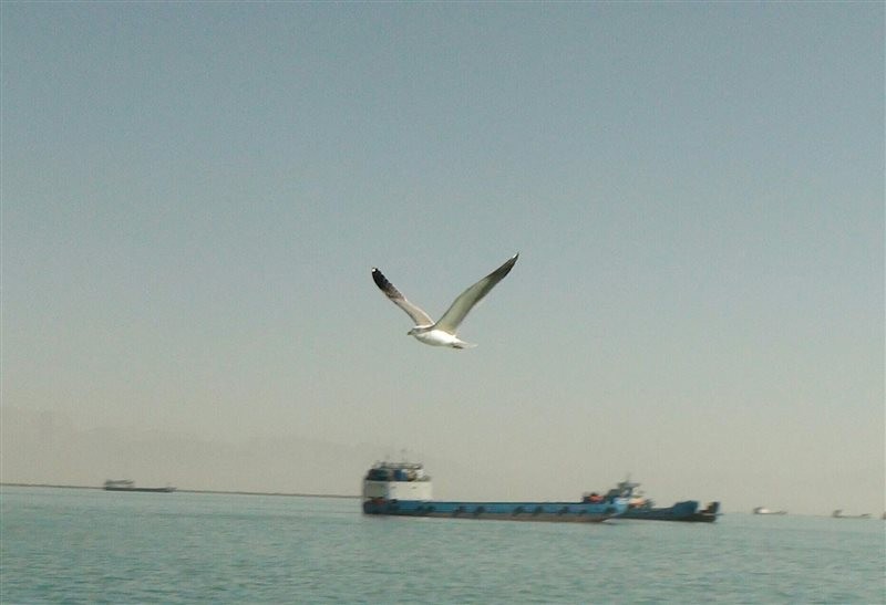 Naaz Island (7).jpg