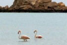 Naaz Island (6).jpg