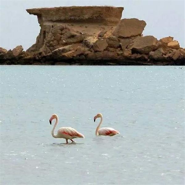 Naaz Island (6).jpg