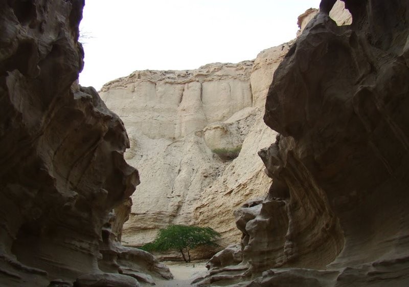 Chahkooh Canyon (4).jpg