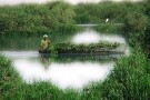 جنگل-حرا-47483-همگردی.jpg